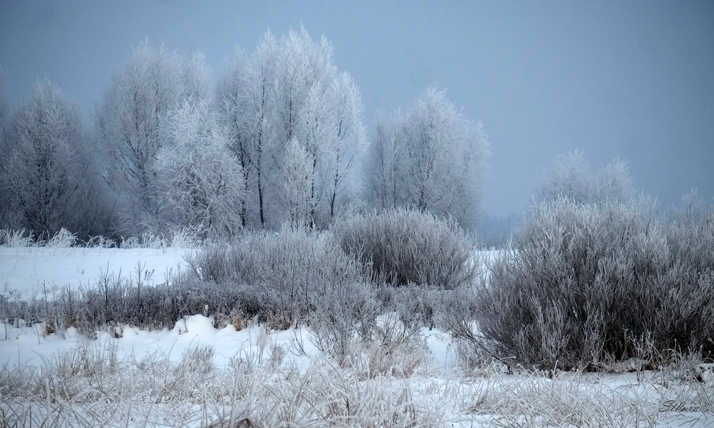 Пасмурное утро.