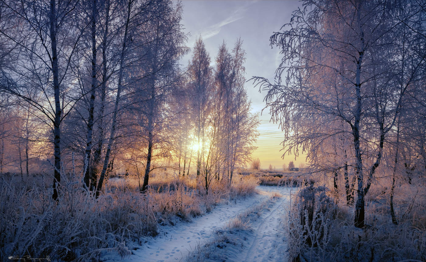 Зимние фантази...