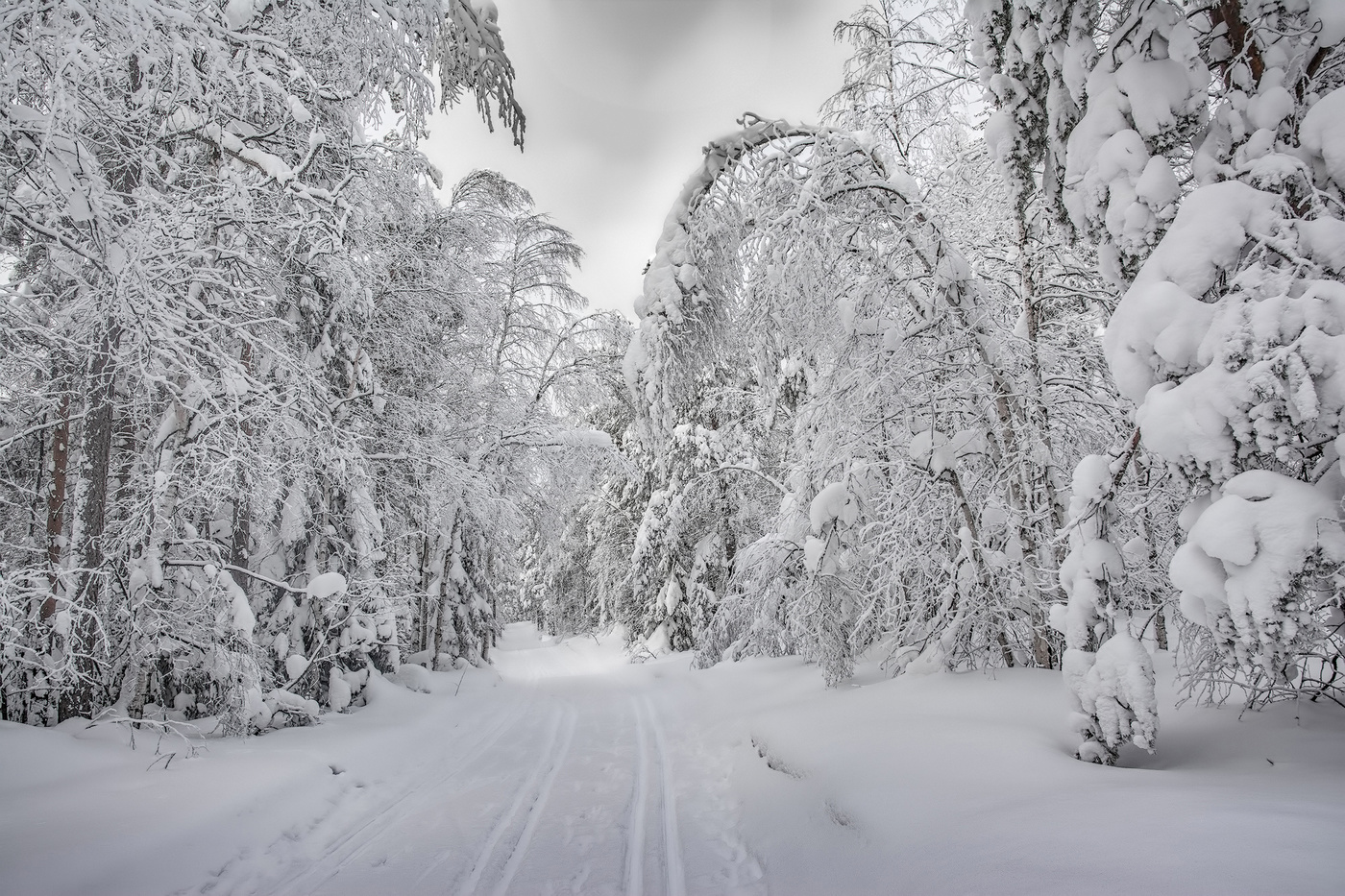 Убегающая вдаль