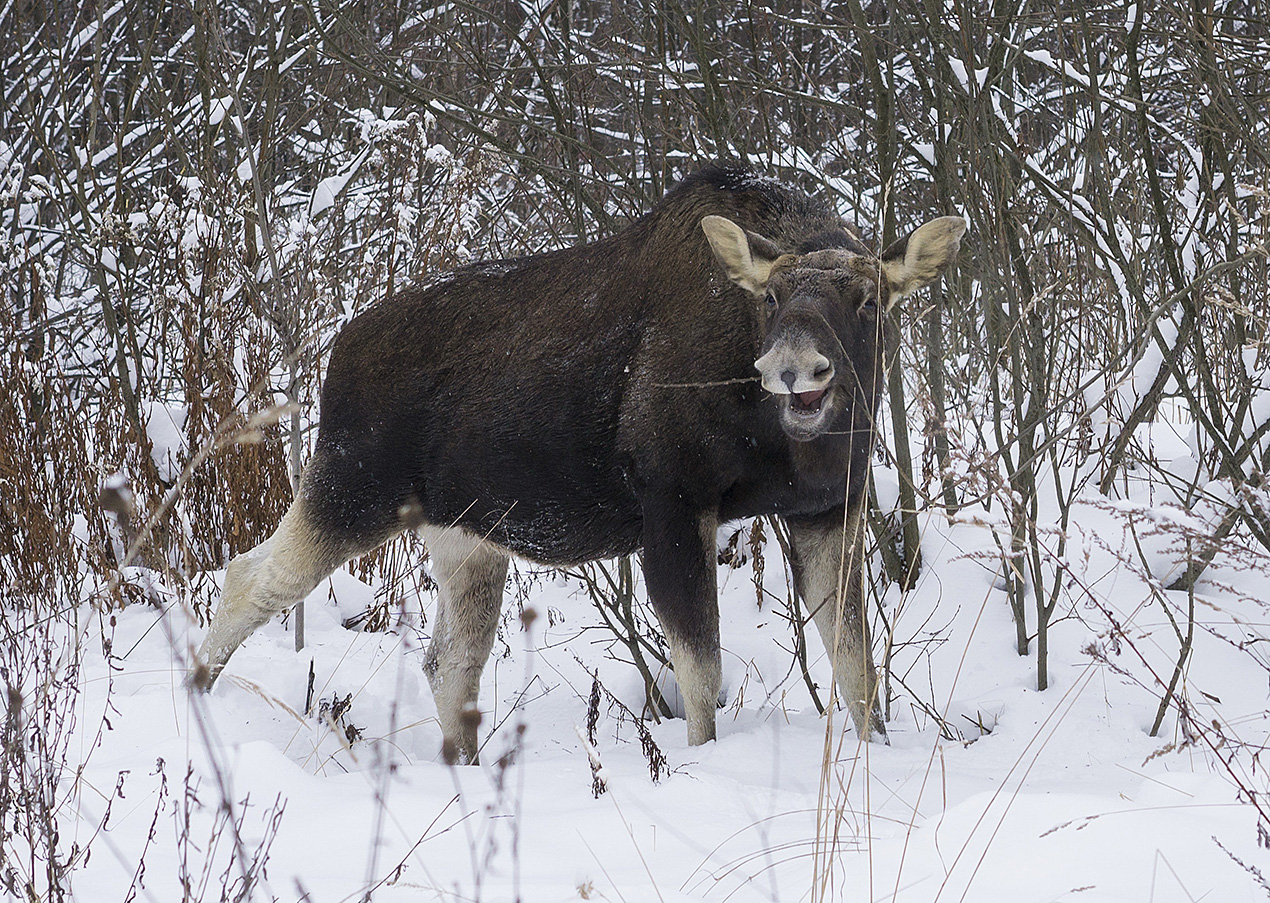 Полон эмоций!