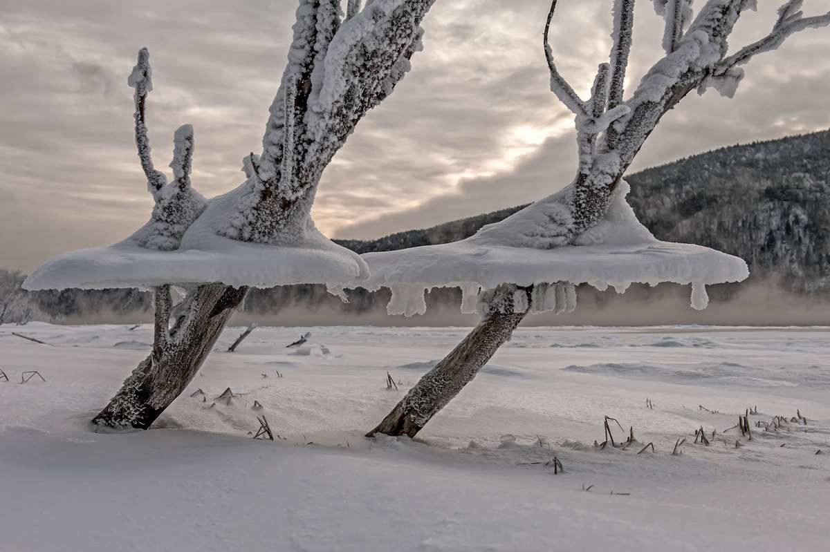 После наводнения...