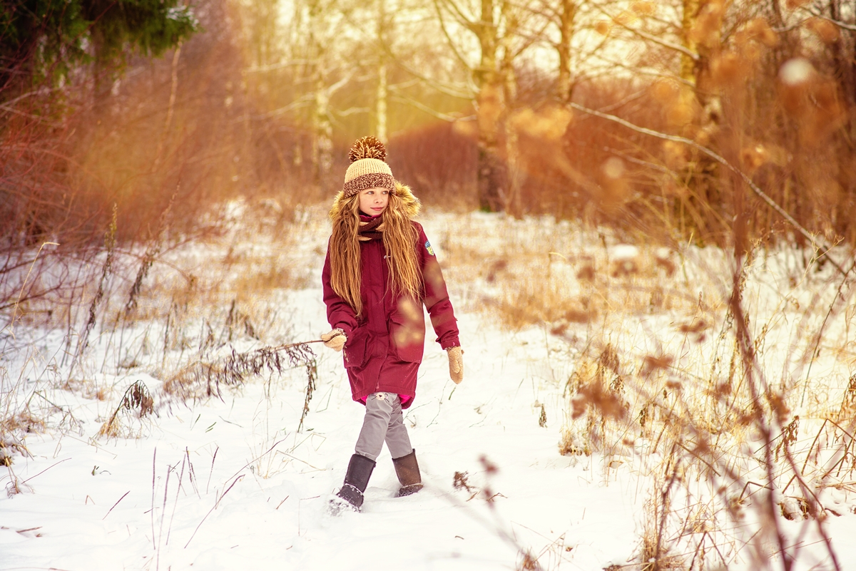 Гуляя по лесу