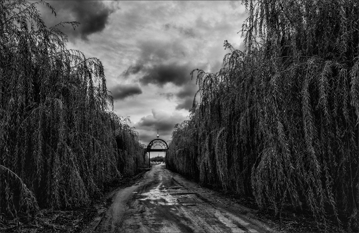 Дорога в монастырь.