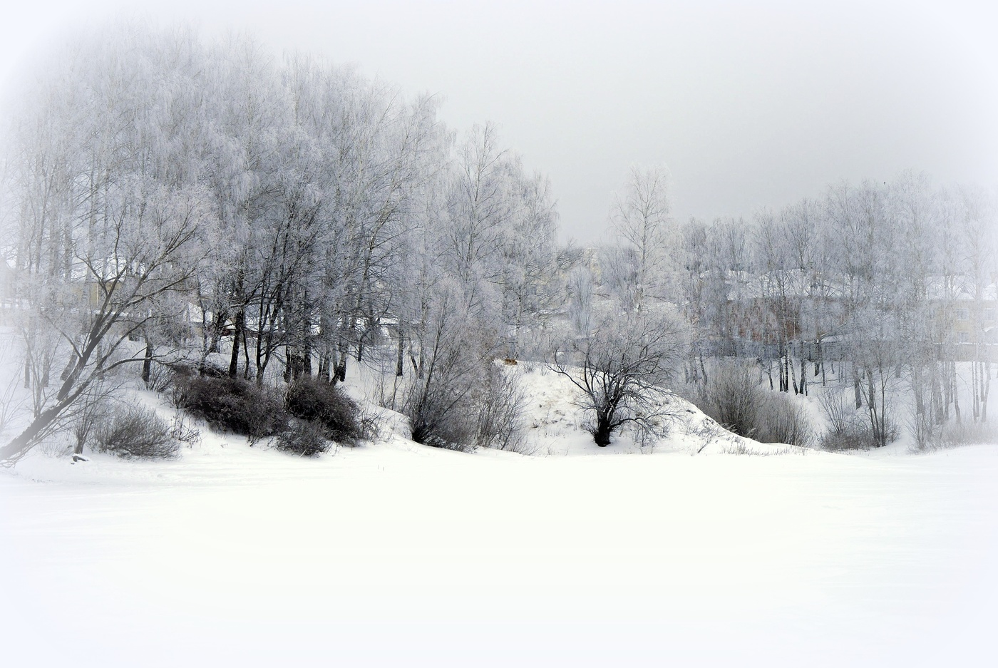 Туман на город бросил серую вуаль