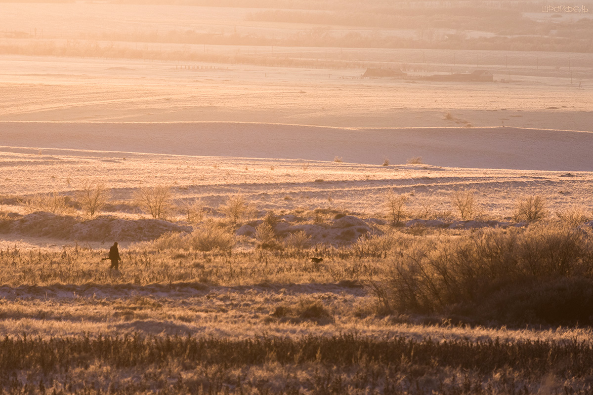 Охотник и его собака