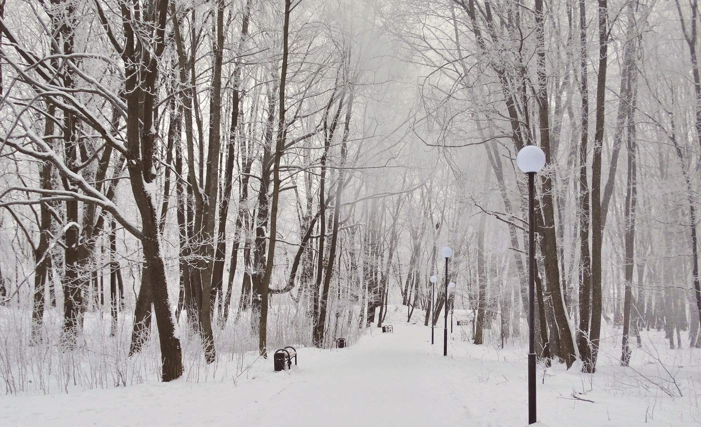 Всё покрыто инеем