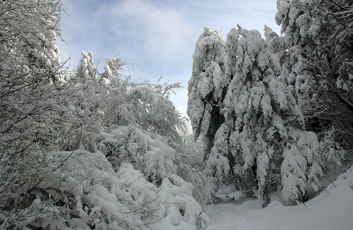 Зима на Северном Демерджи