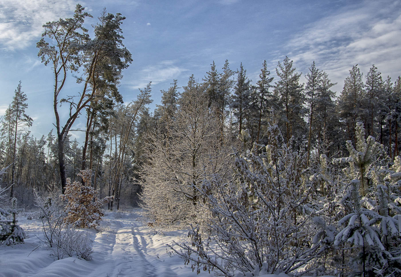 Зимний день