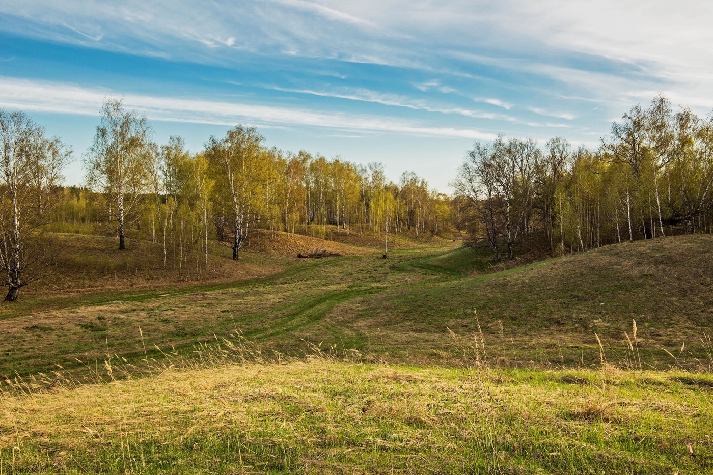 Первая листва