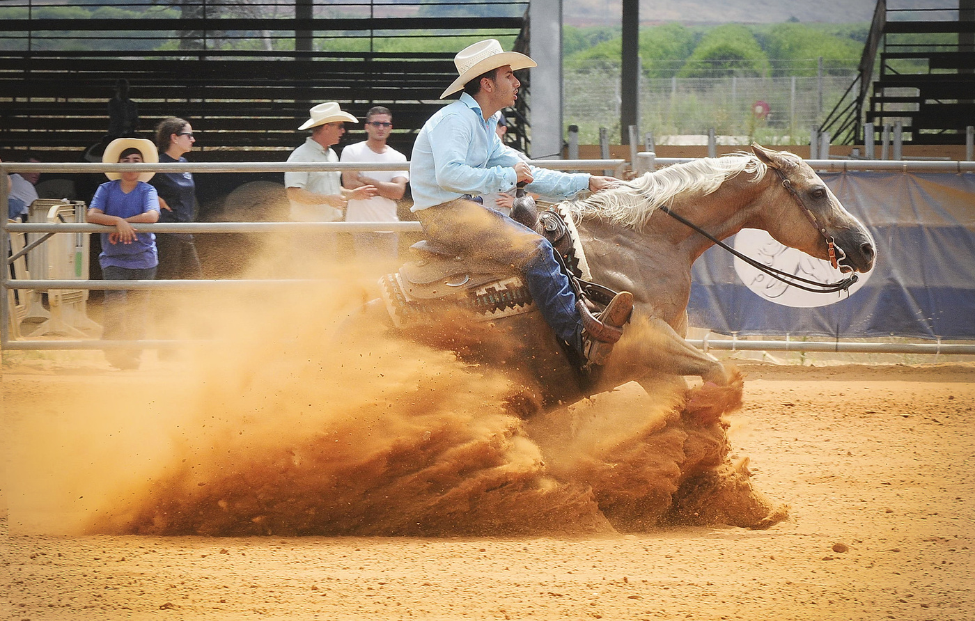 Про ковбоев и лошадок