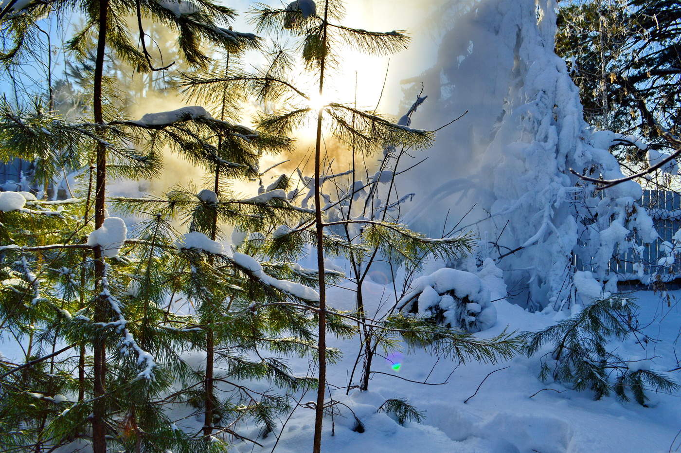 зимний пейзаж