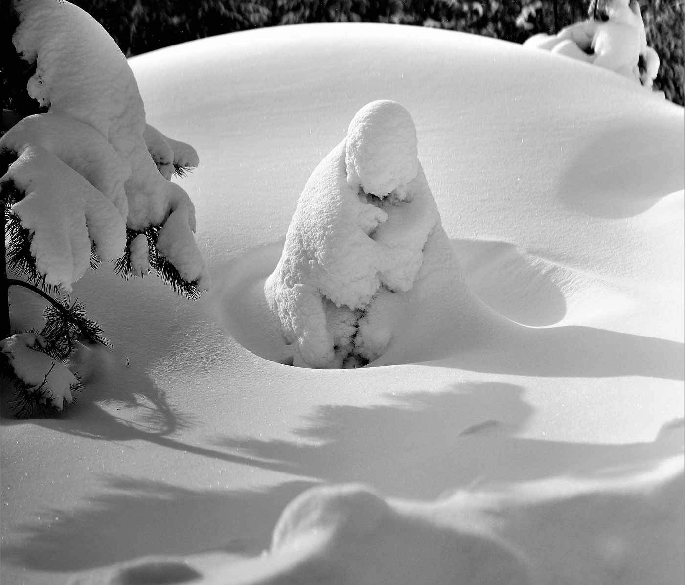 В зимней спячке