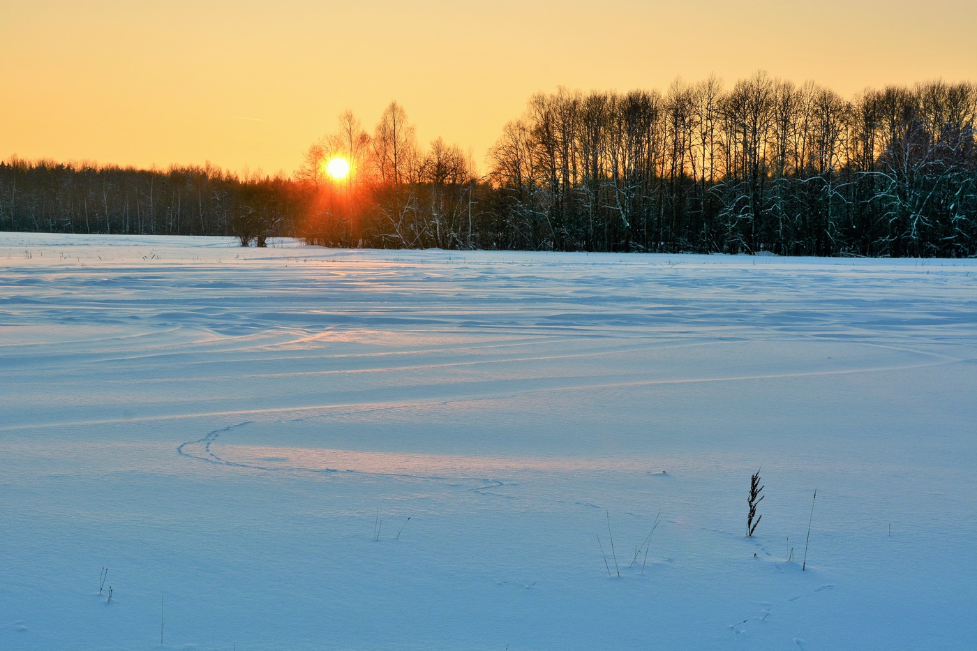 "Садится солнца диск устало ..."