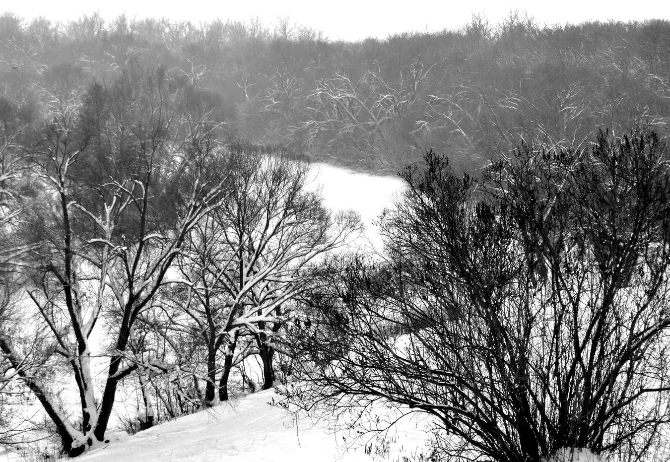 Черным по белому