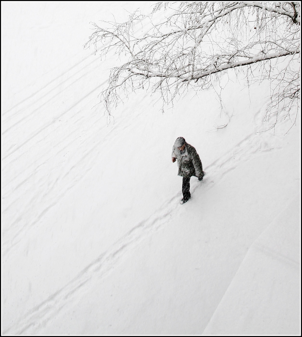 Черным по белому