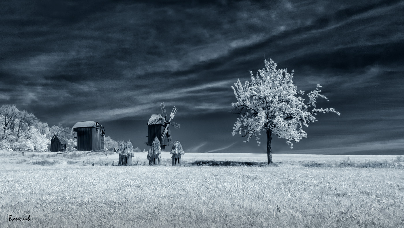 Черным по белому