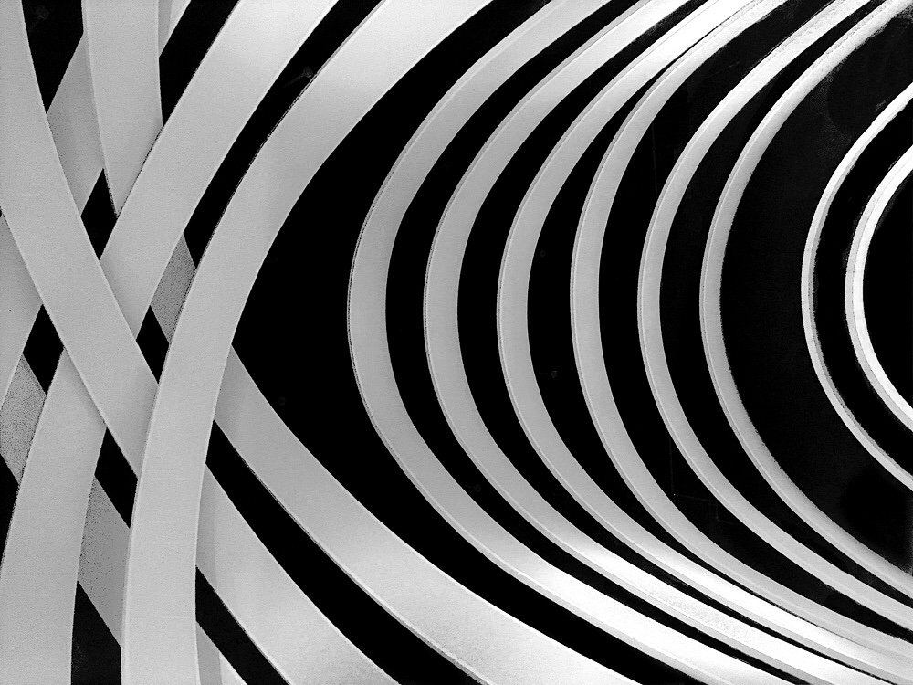 Чёрным по белому