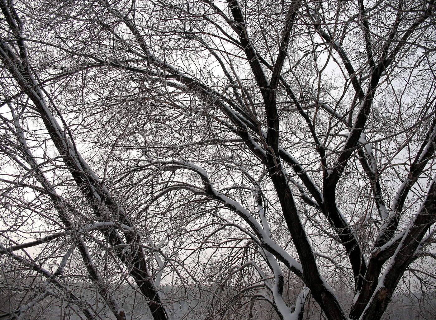 Черным по белому