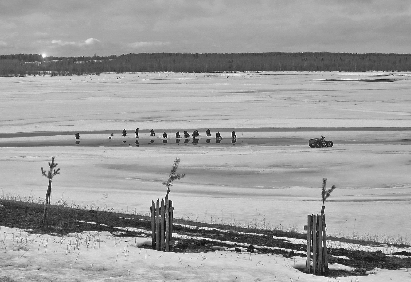 Черным по белому