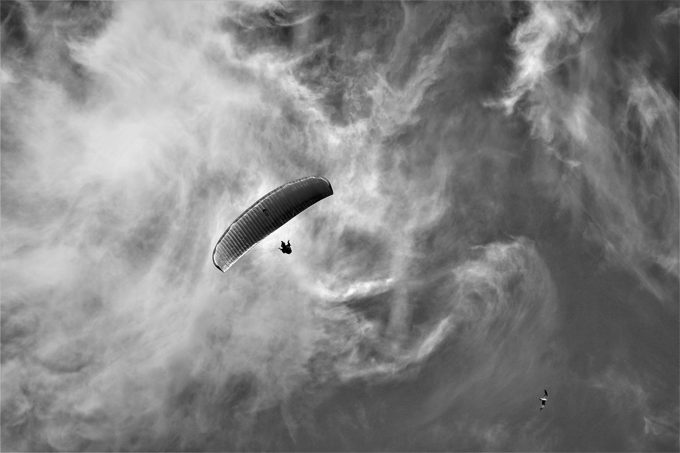 Черным по белому