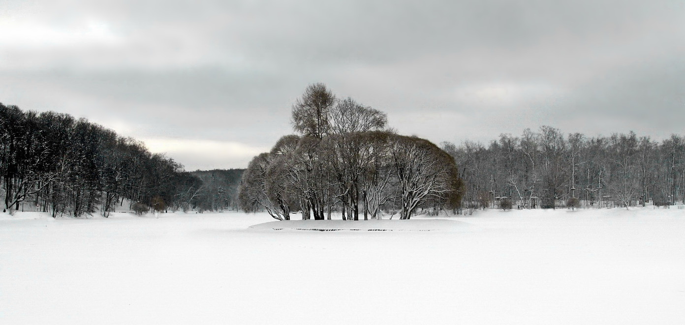 Черным по белому