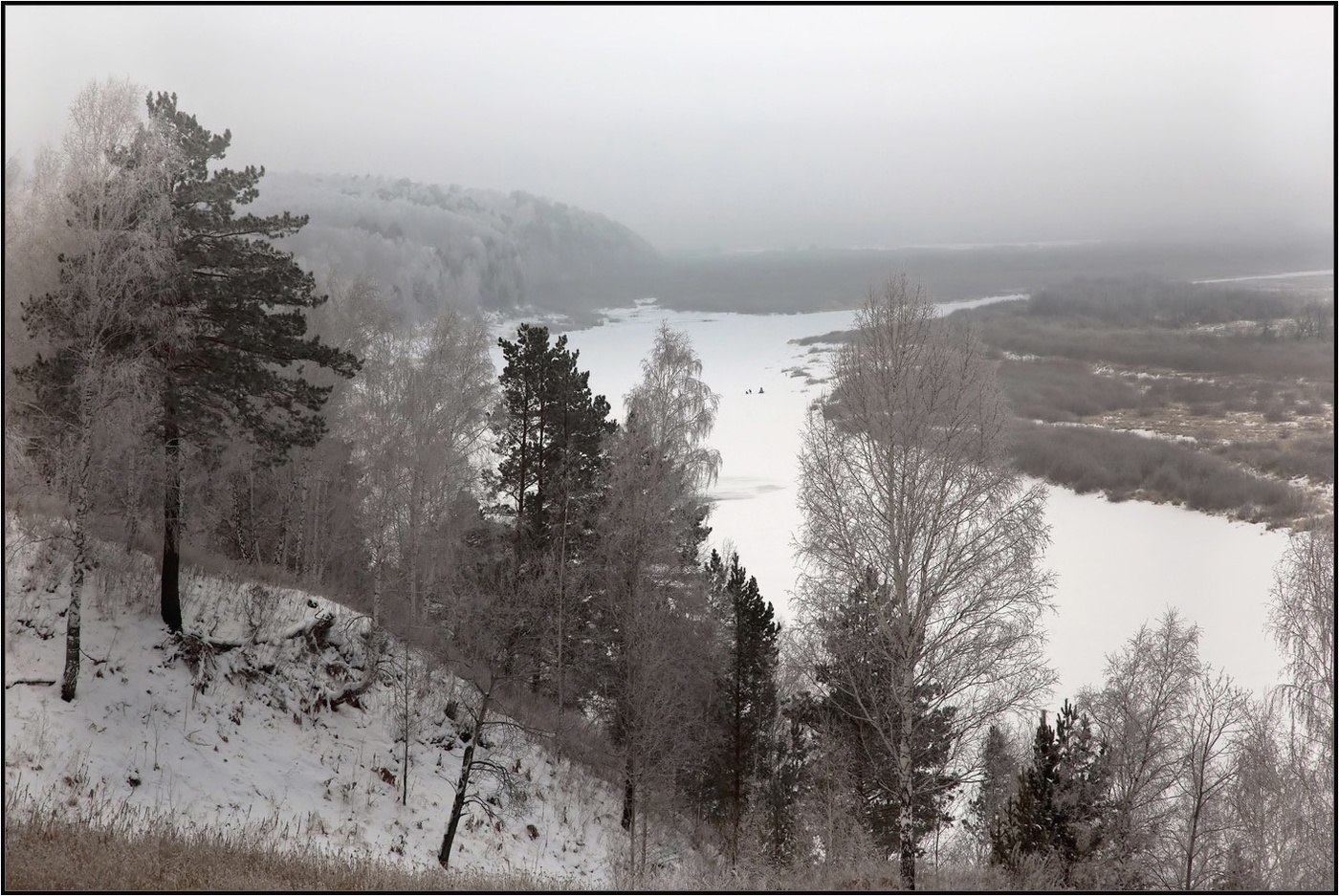 Черным по белому