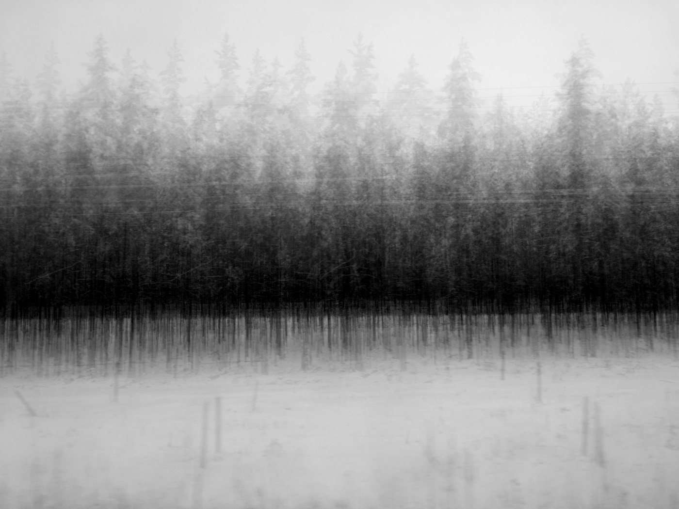 Черным по белому