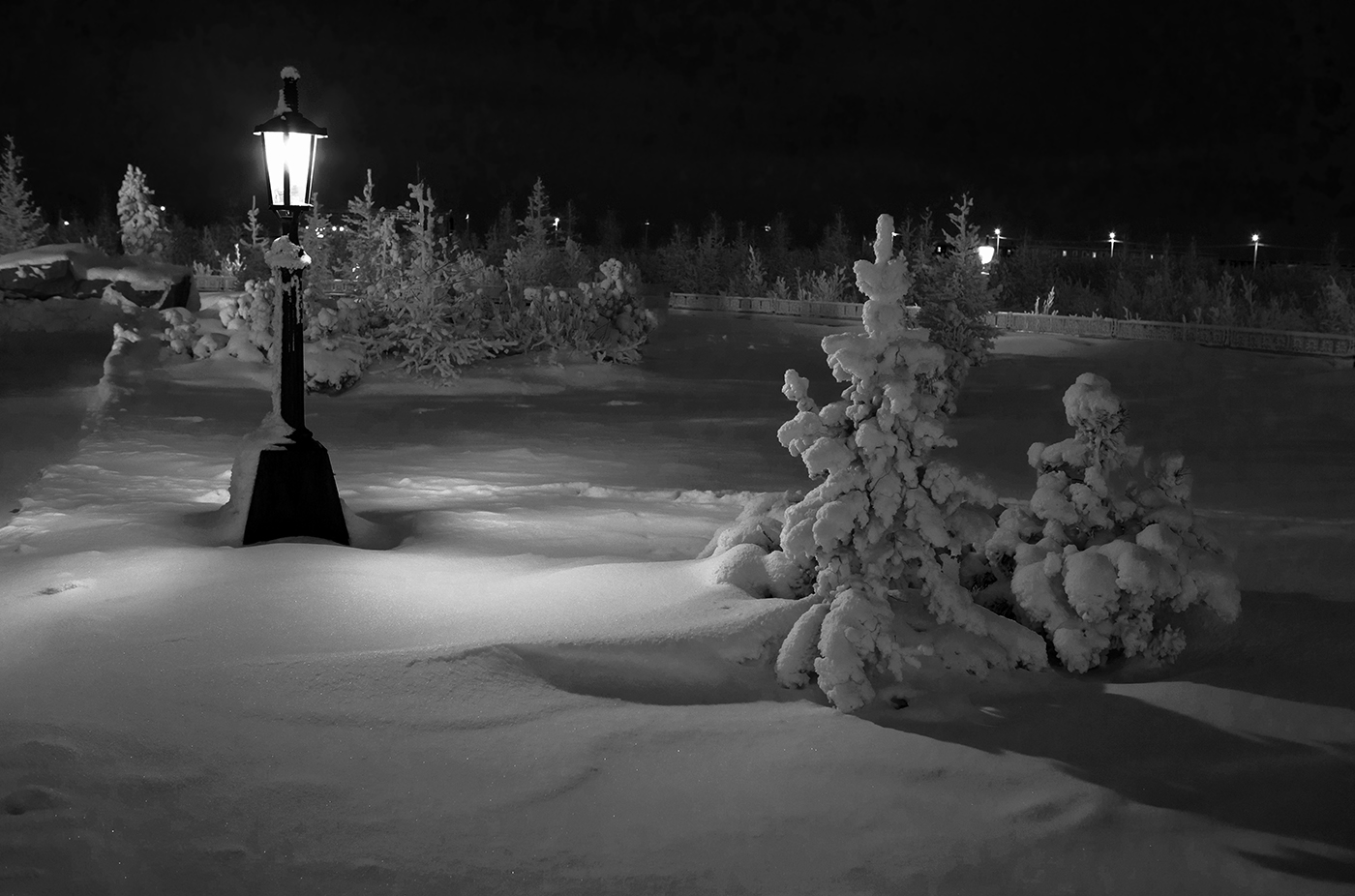 Черным по белому