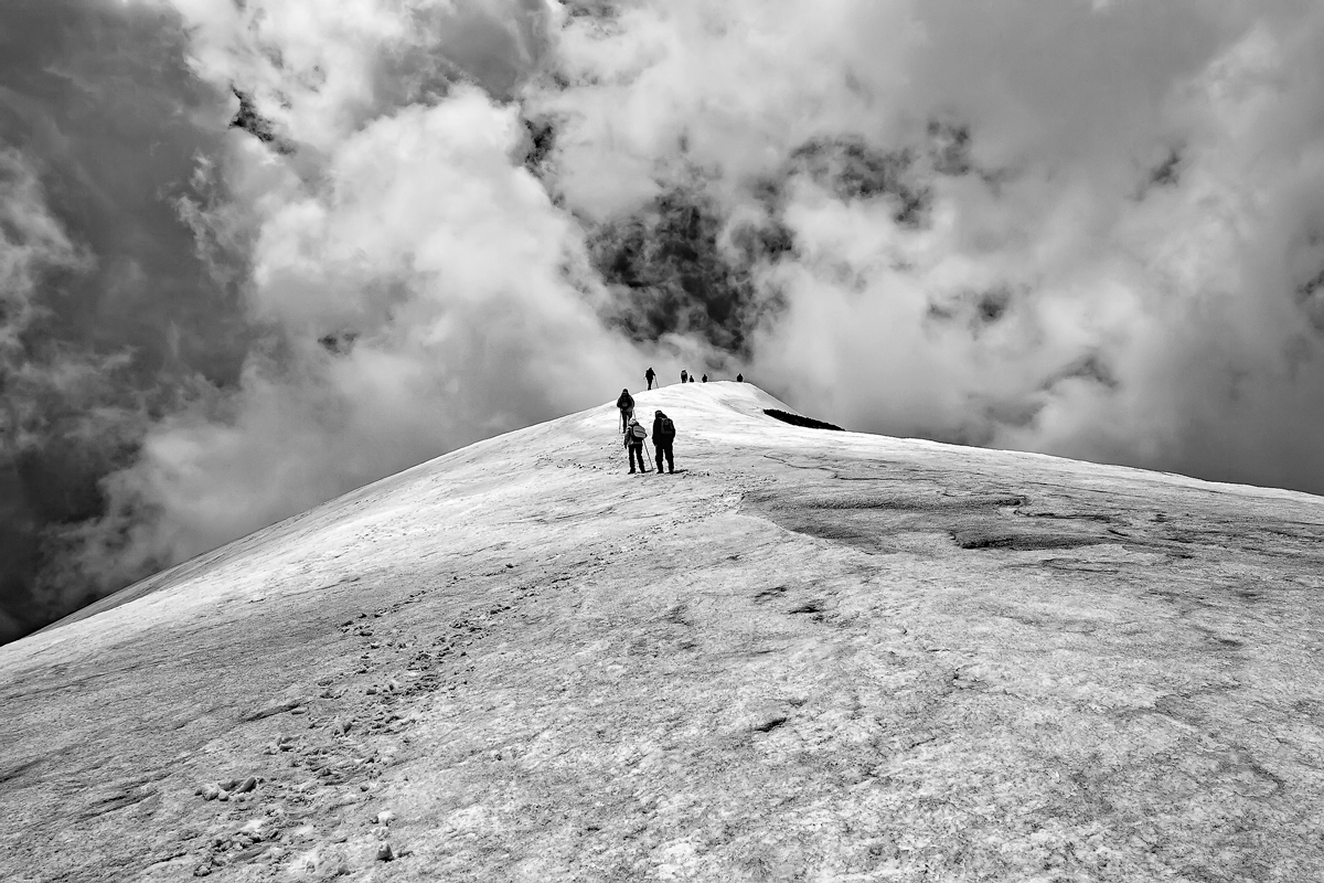 Черным по белому