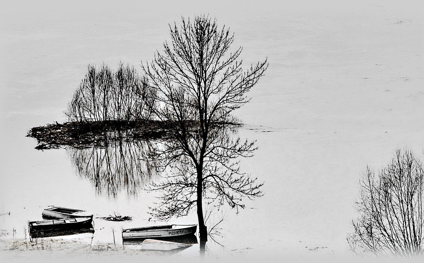 "Черным по белому"