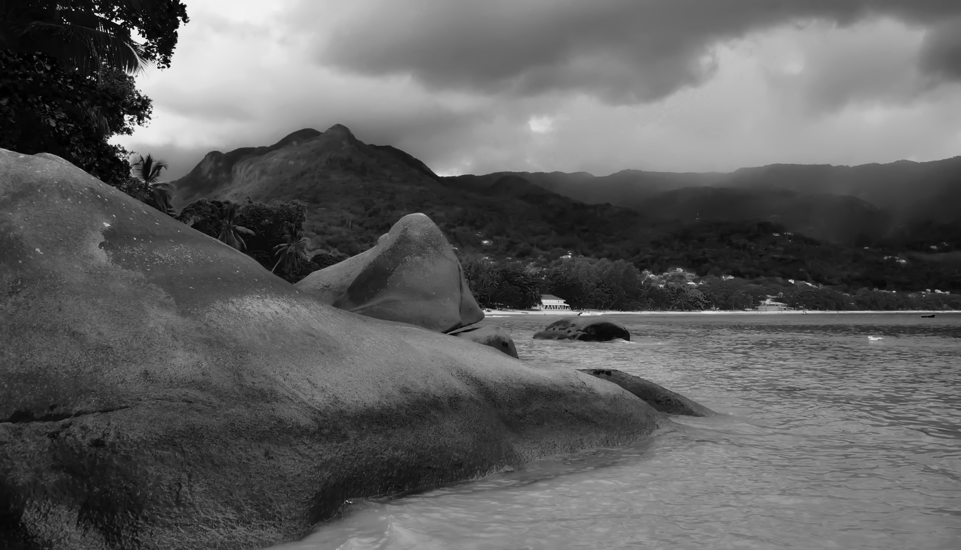 Черным по белому