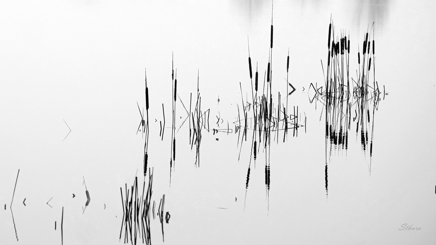 Черным по белому