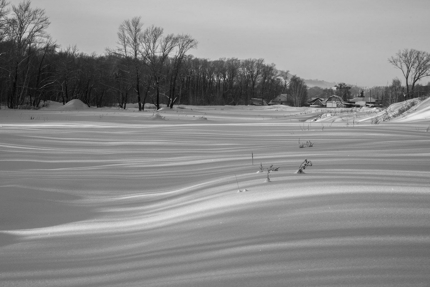 Черным по белому