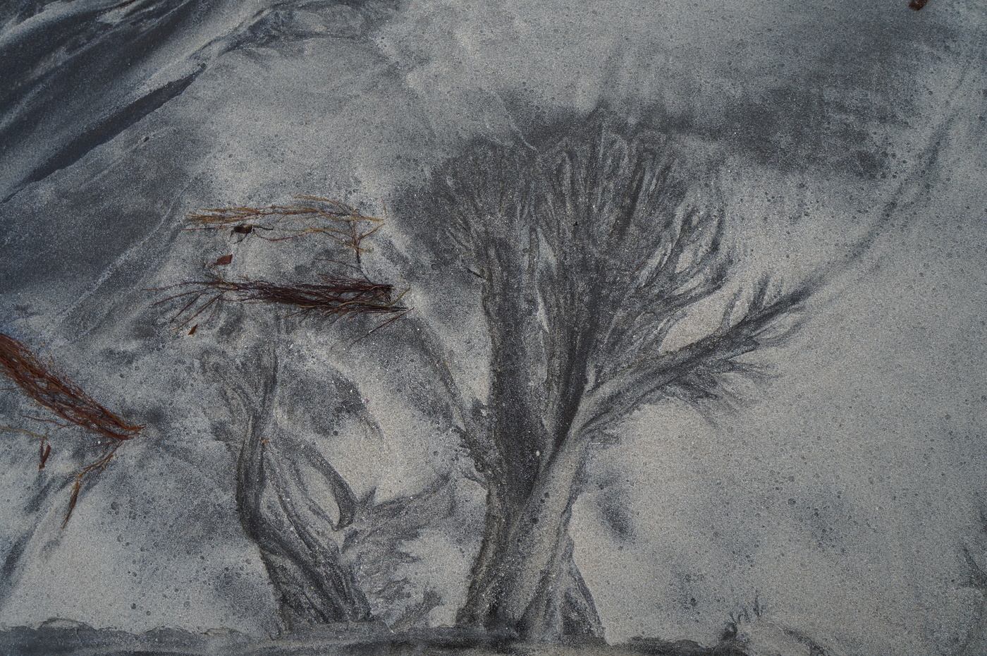 Черным по белому