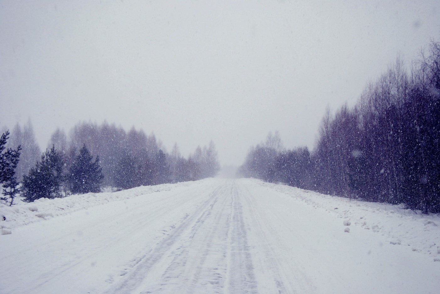 Черным по белому