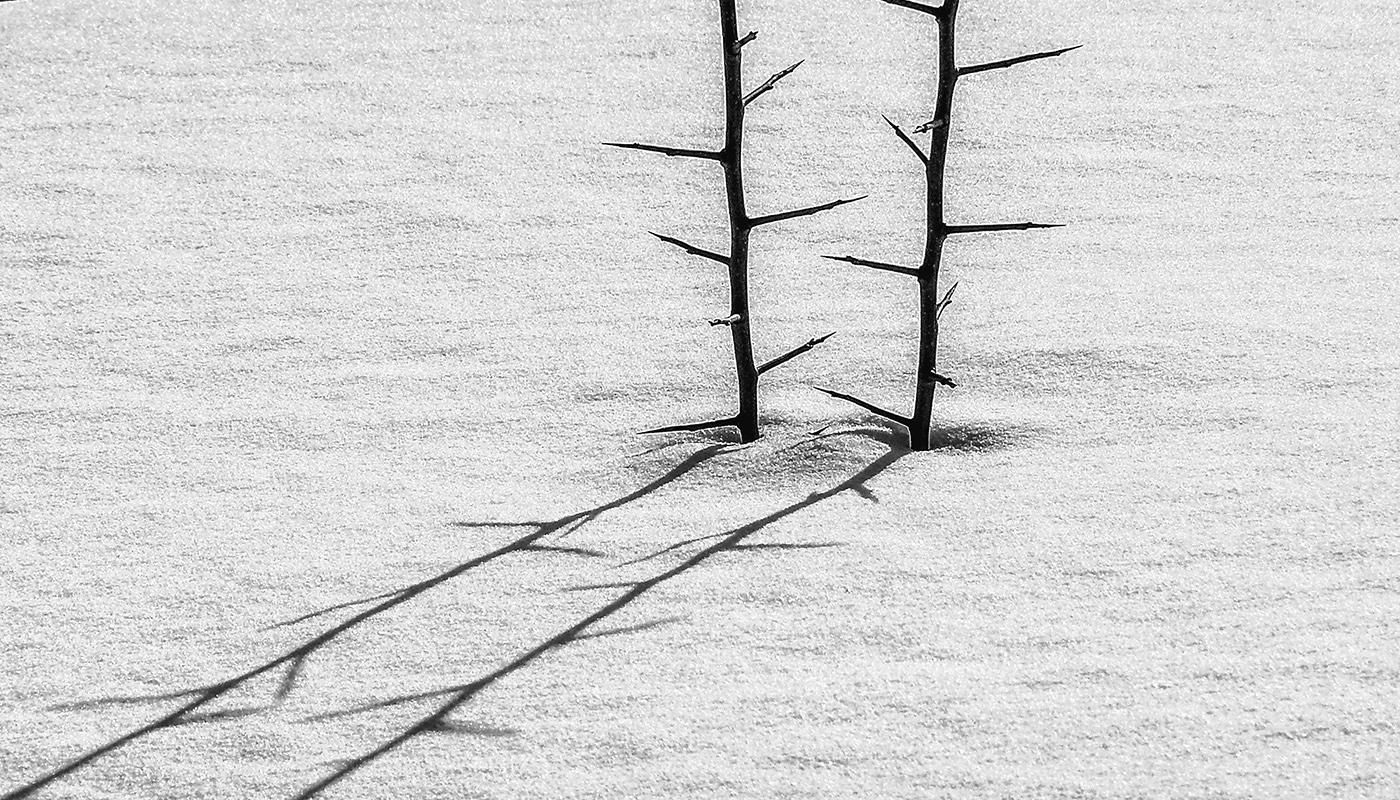 Черным по белому