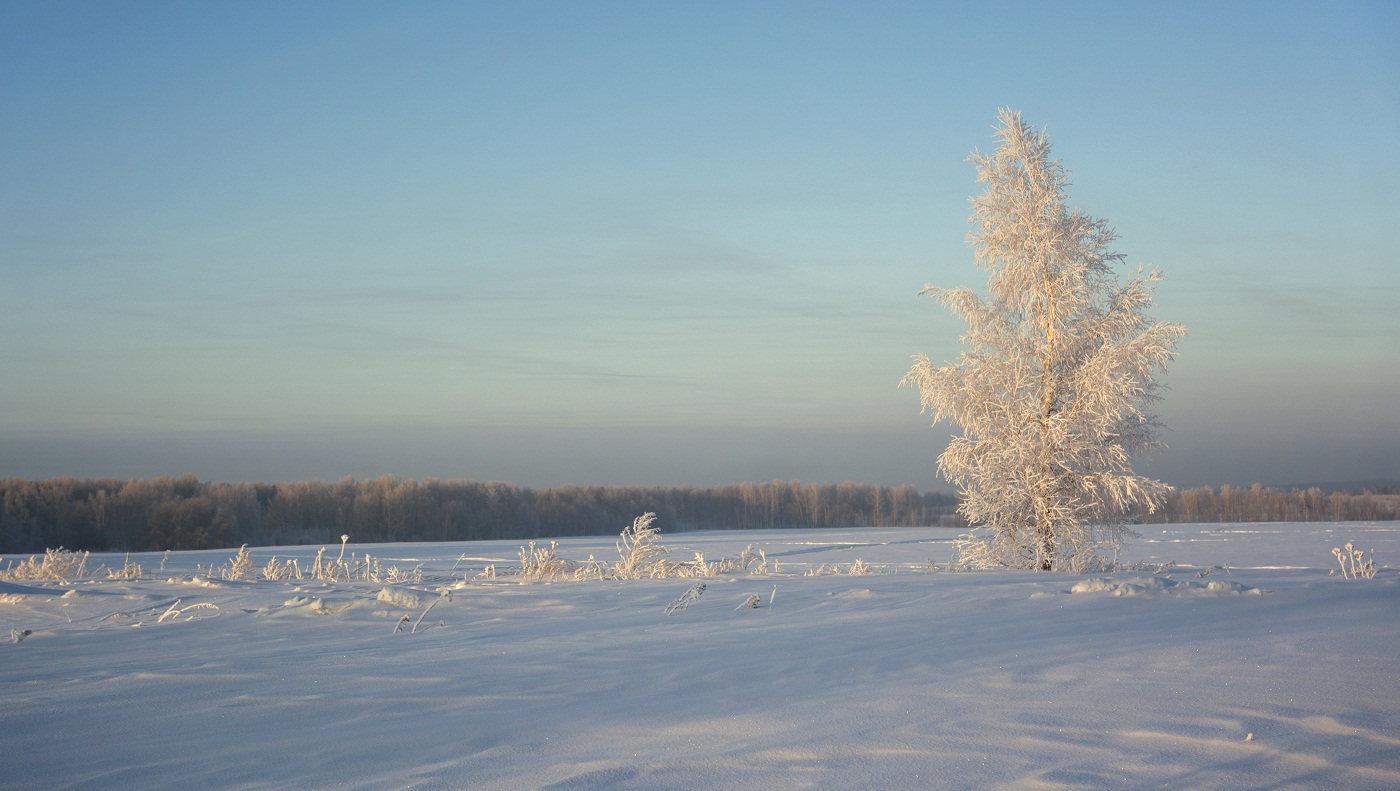 Зимний наряд.