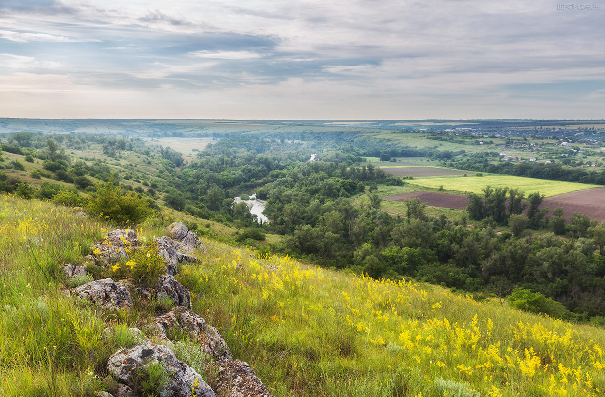 Над рекой Калитвой