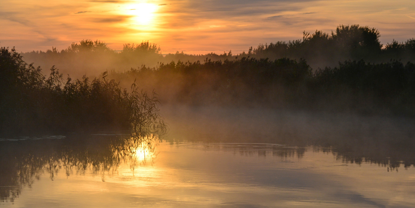 Лабиринты утренней реки