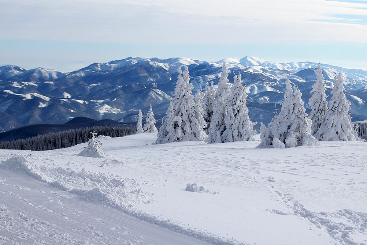 Зима в Копаонике