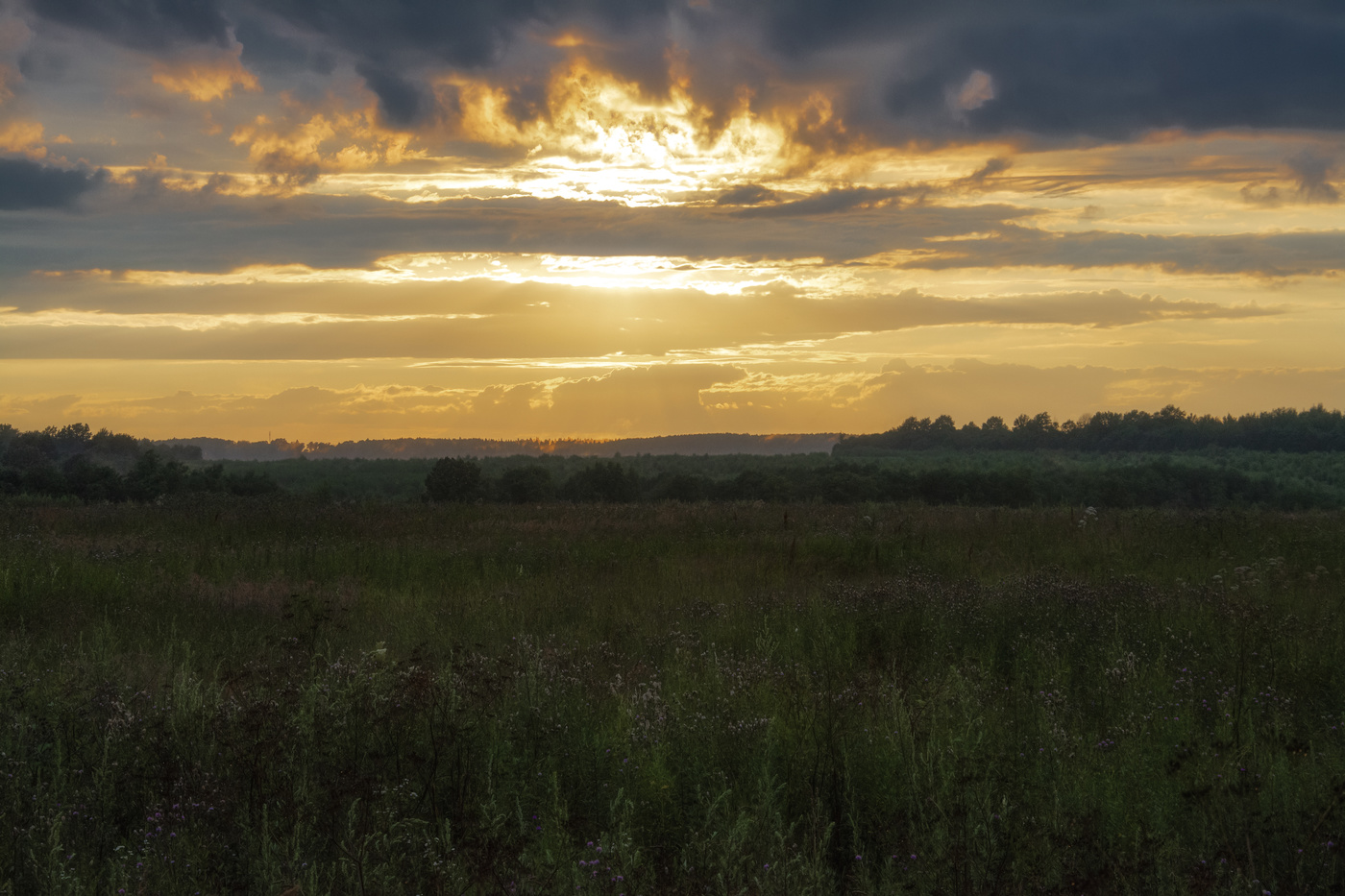 летние закаты