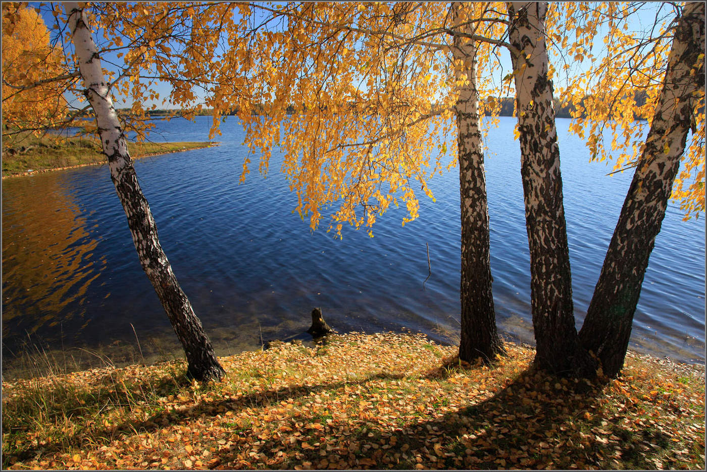 У Кандинского водохранилища