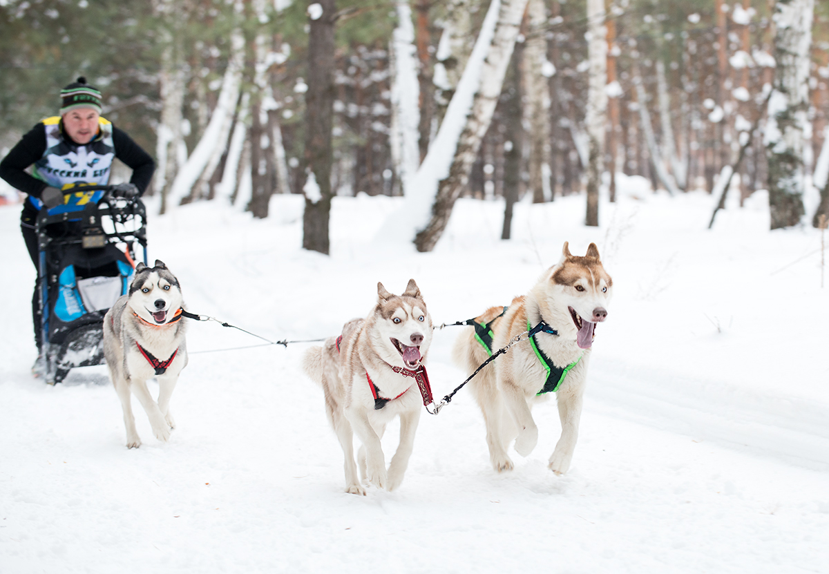 Дистанция...