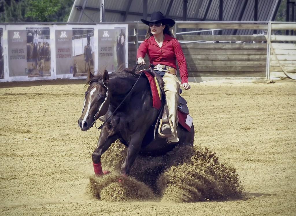 Про ковбоев и лошадок