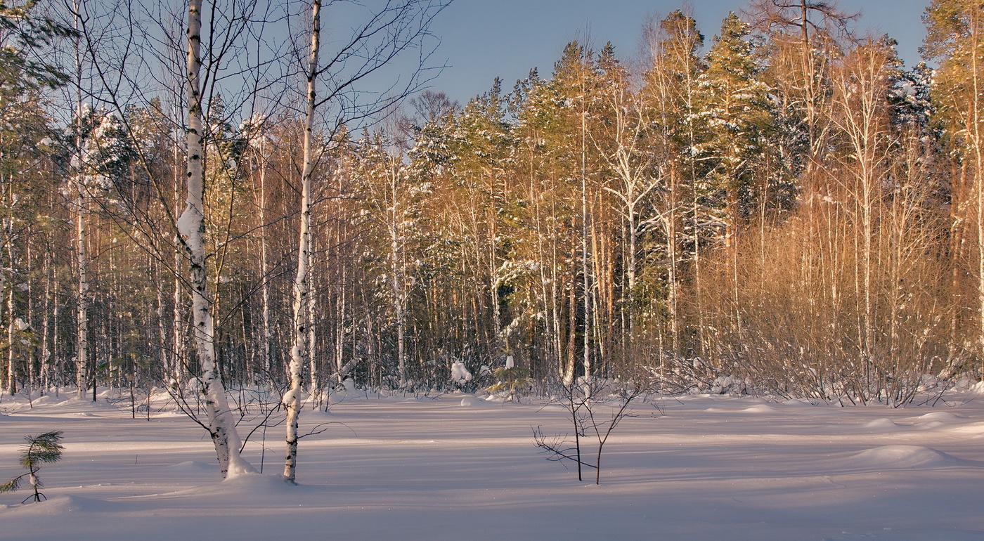 Зимний день.