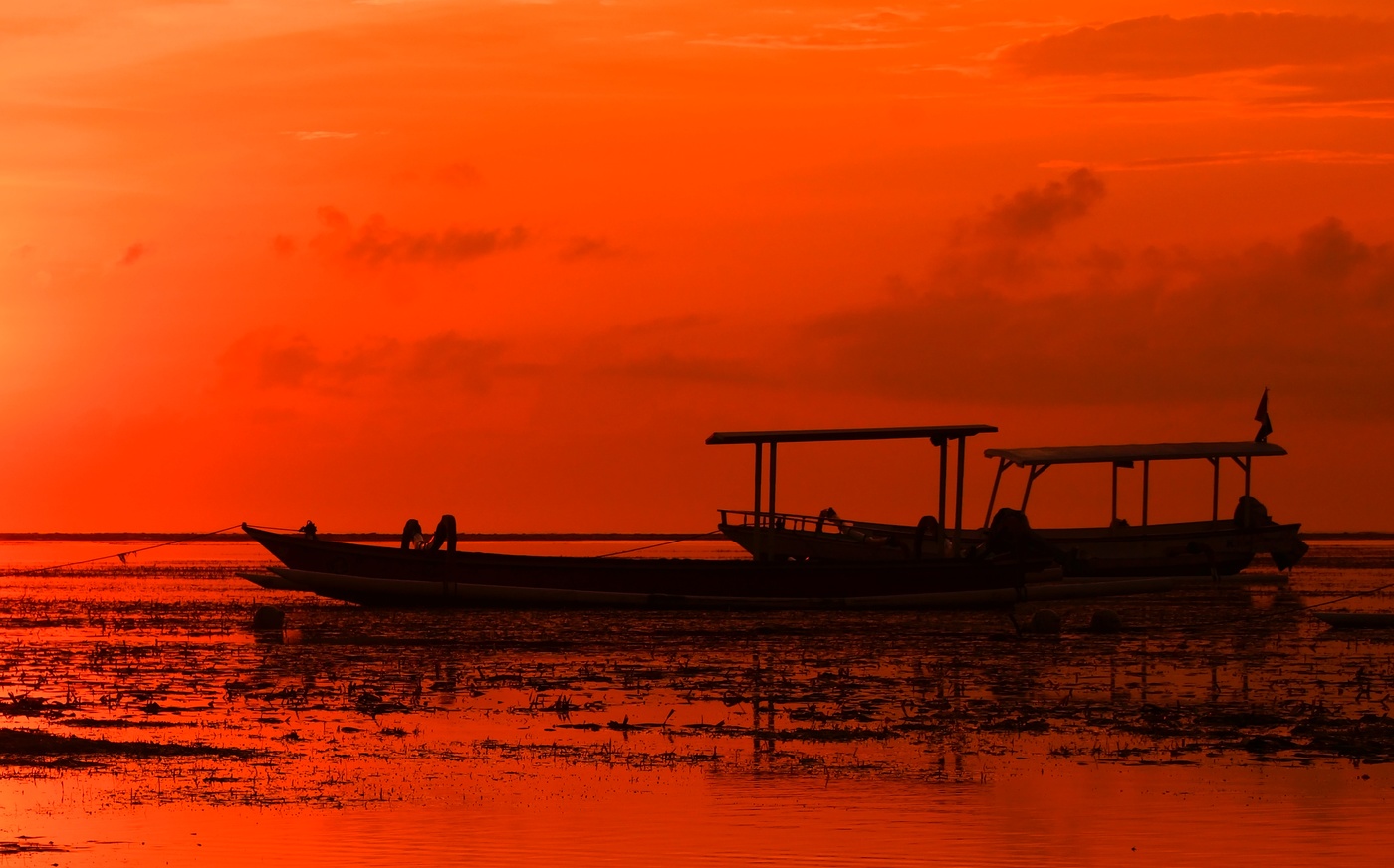 Тревожное утро