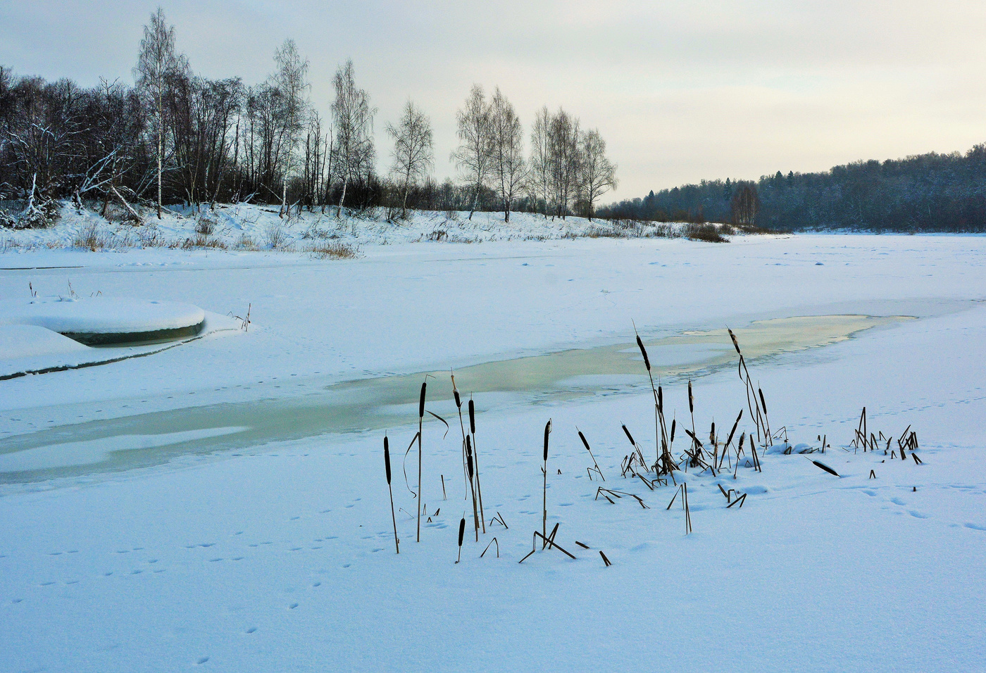 Ничем не омраченный мир природы ...