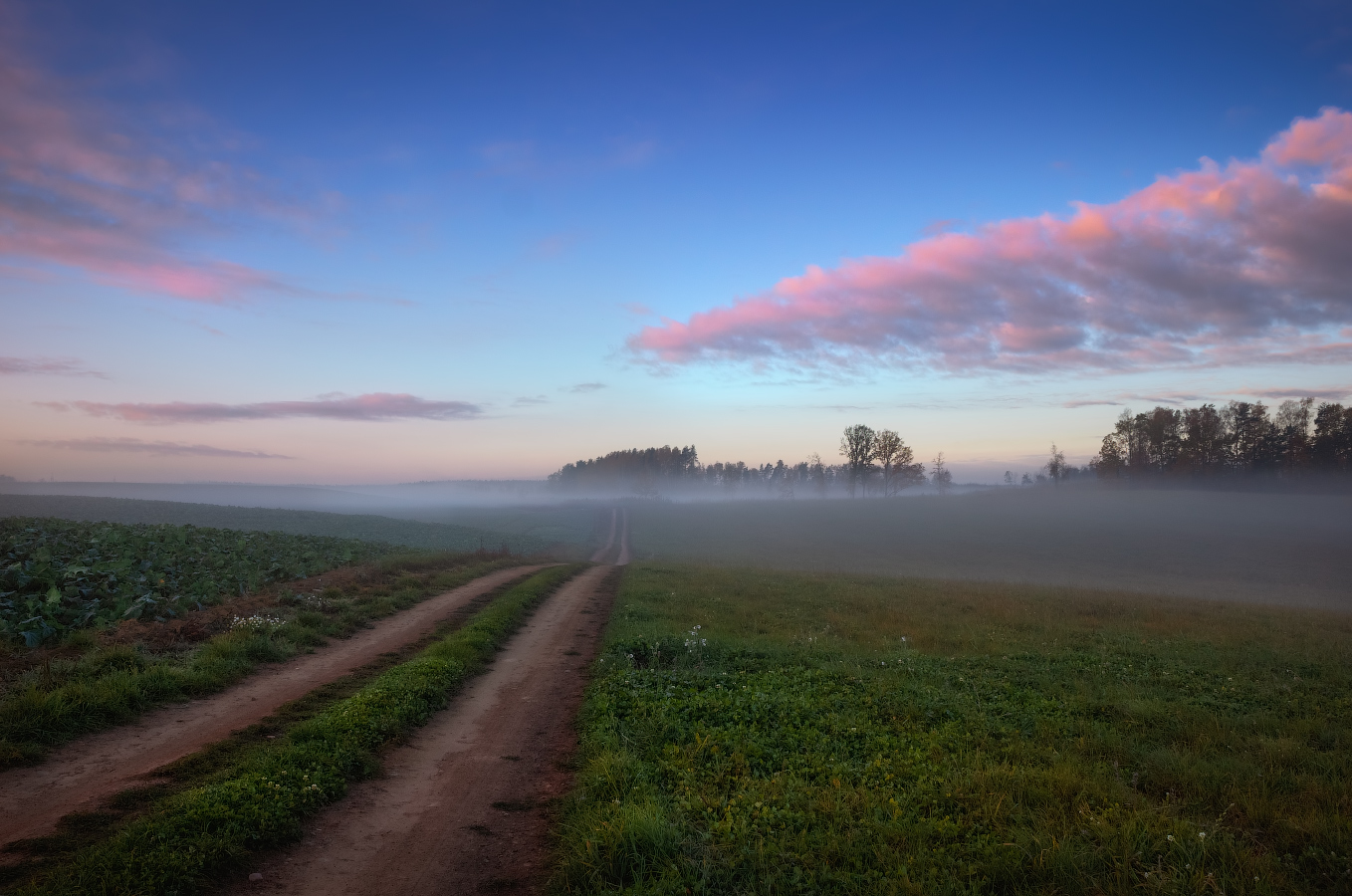Дорога в дымку