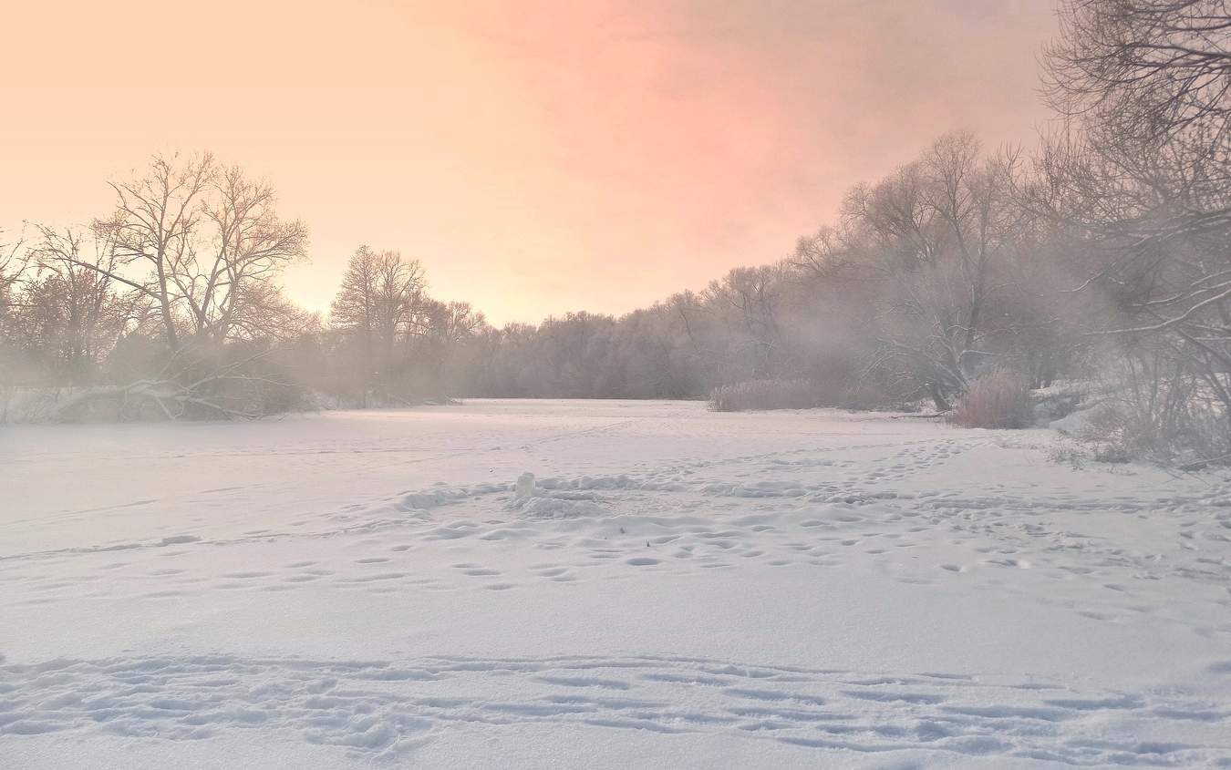 Морозный, туманный день