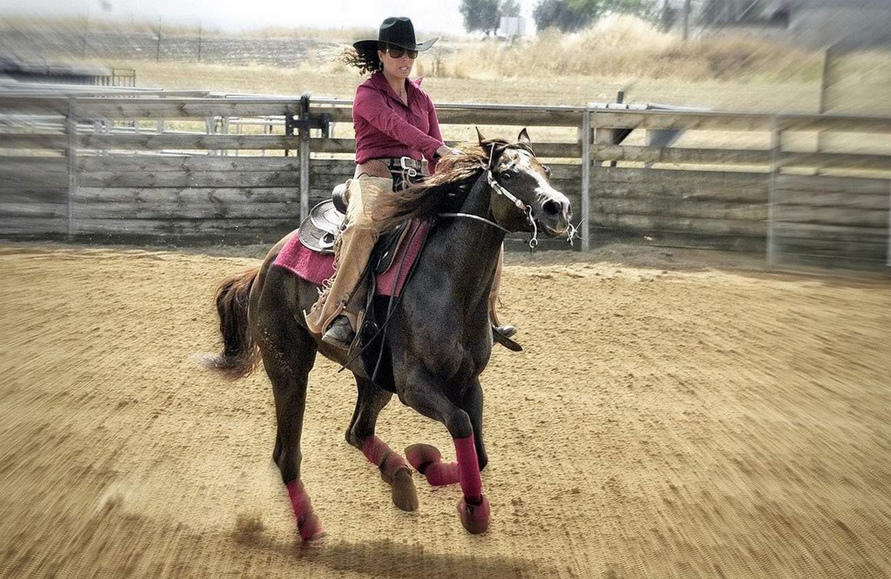 Про ковбоев и лошадок